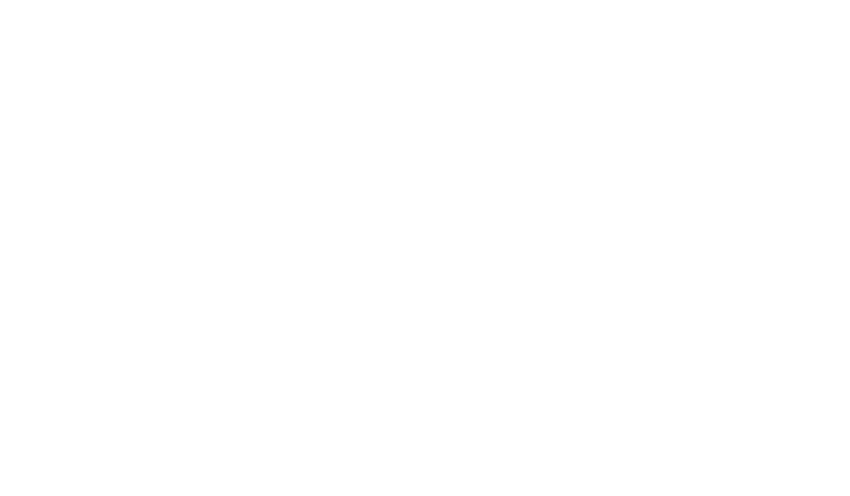 Blink Schoonmaak